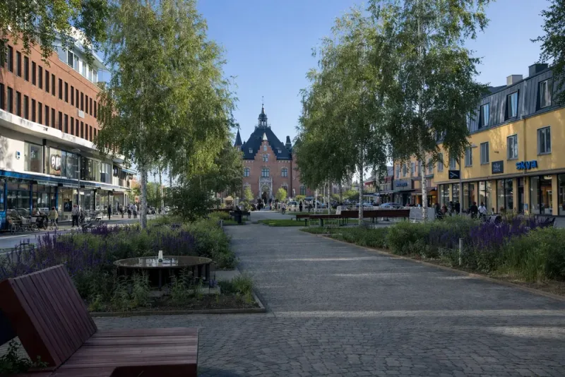 Värme kopplas till 62 000 dödsfall