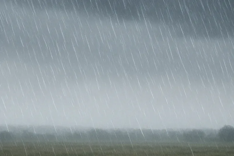 Flera döda efter kraftiga skyfall