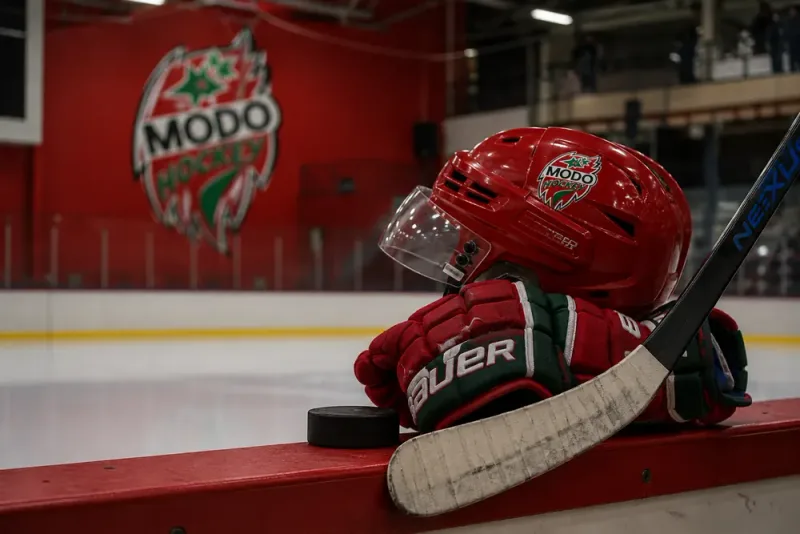Henrik Gradin söker fler forwards