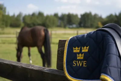 Hästspark stoppar Amanda Andersson från U25-VM