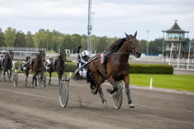 Tar hem Stochampionatet – vinner 1,8 miljoner