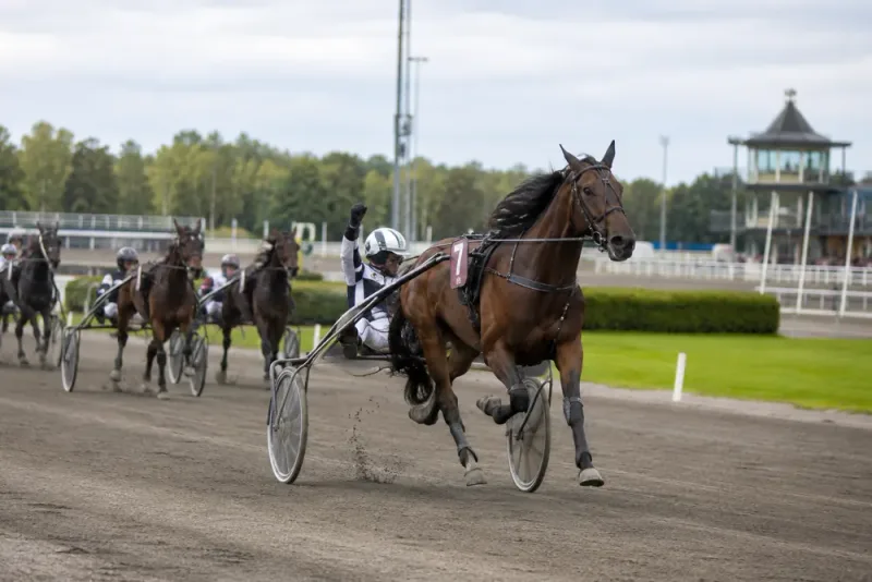Tar hem Stochampionatet – vinner 1,8 miljoner