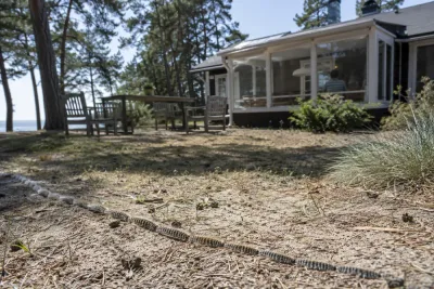 Attacklarver tvingar familj att ändra vardagen på Gotland