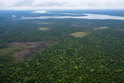 Bränderna i Amazonas föll till historiskt låg nivå