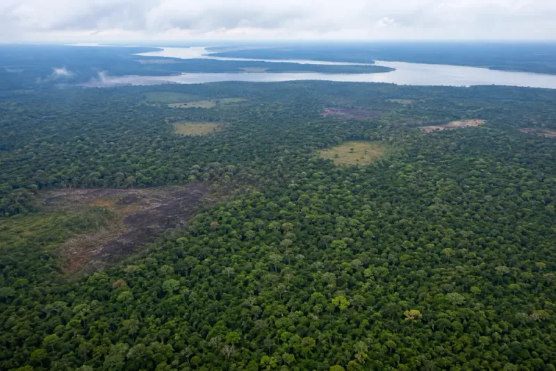 Bränderna i Amazonas föll till historiskt låg nivå