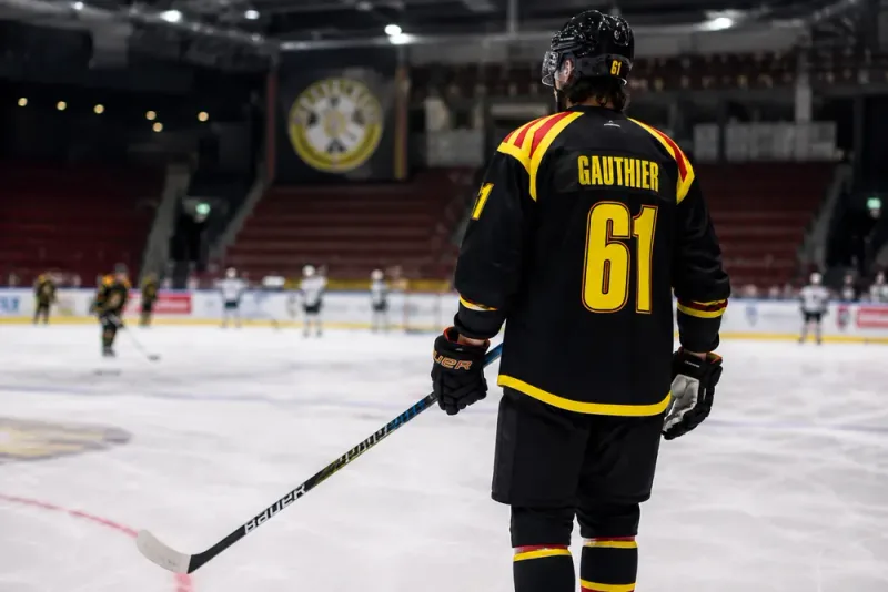 NHL-meriterad forward förstärker Brynäs IF