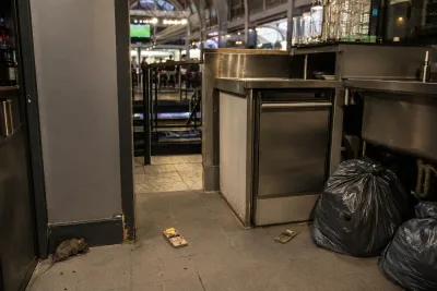 Råttor konstaterade på O’Learys vid Stockholm Central