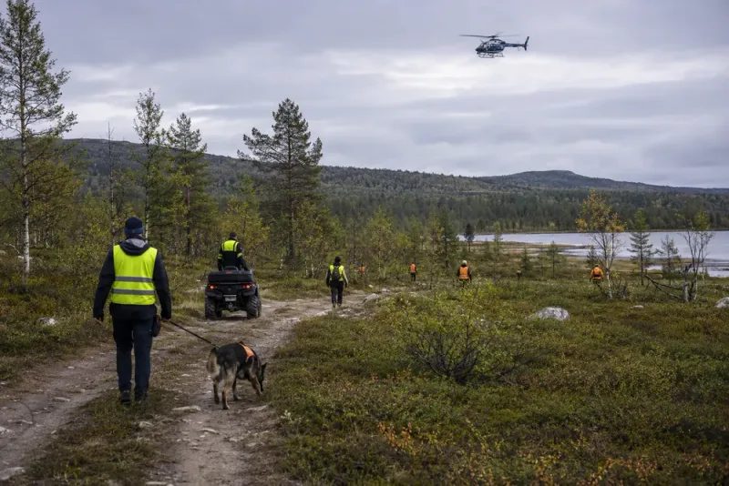 Äldre bärplockare saknas efter nattlig sökinsats