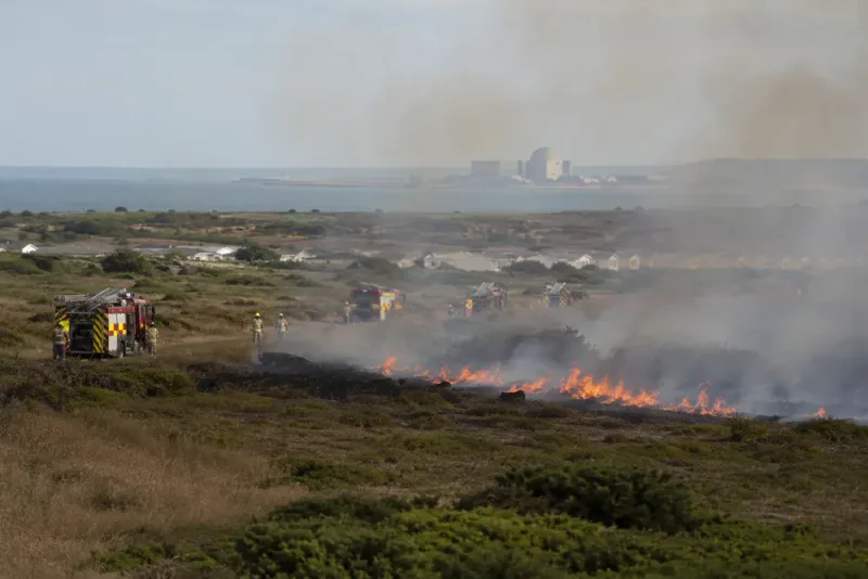 Enorm skogsbrand tvingar fram evakueringar nära Sizewell