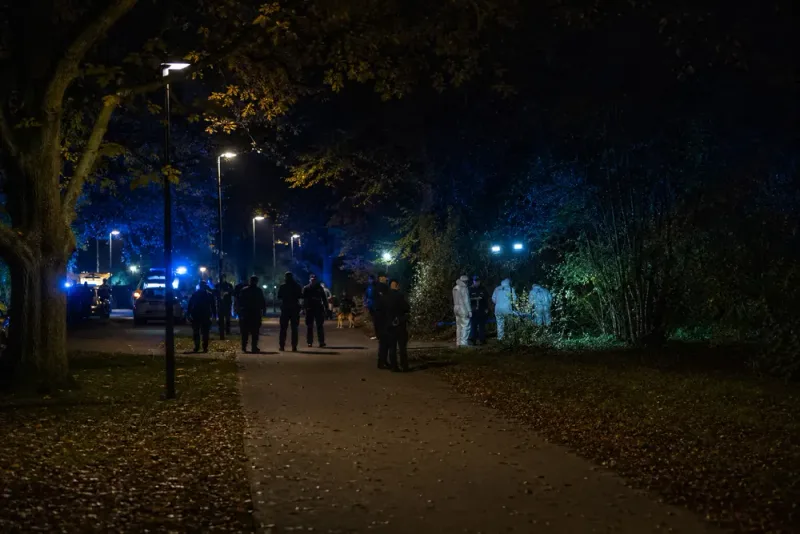 19-åring åtalas efter påhittat våldtäktslarm