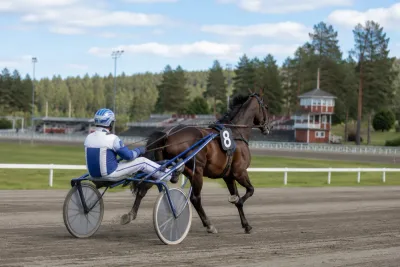 Ställ din fråga till Magnus A Djuse inför V85 på Rättvik