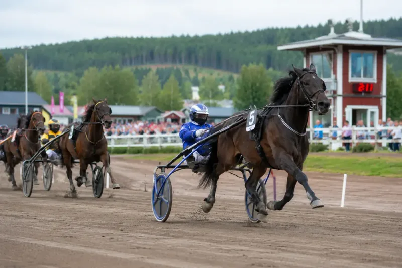 Klack Vidar chockade favoriten i Siljansloppet