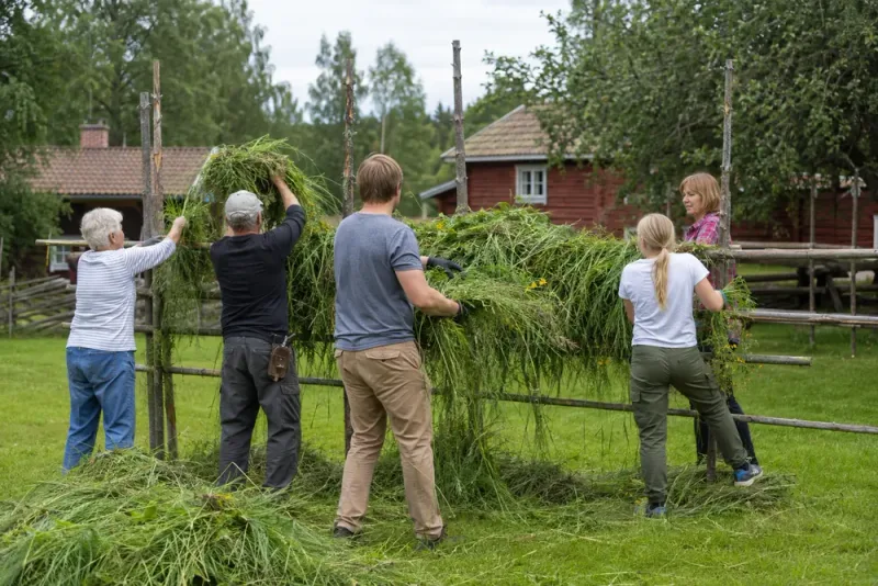 Höhässjning samlade generationer på Stenegård