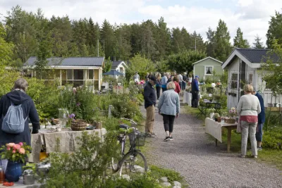 Kolonidagen lockade besökare till Hertsöns odlingsområde
