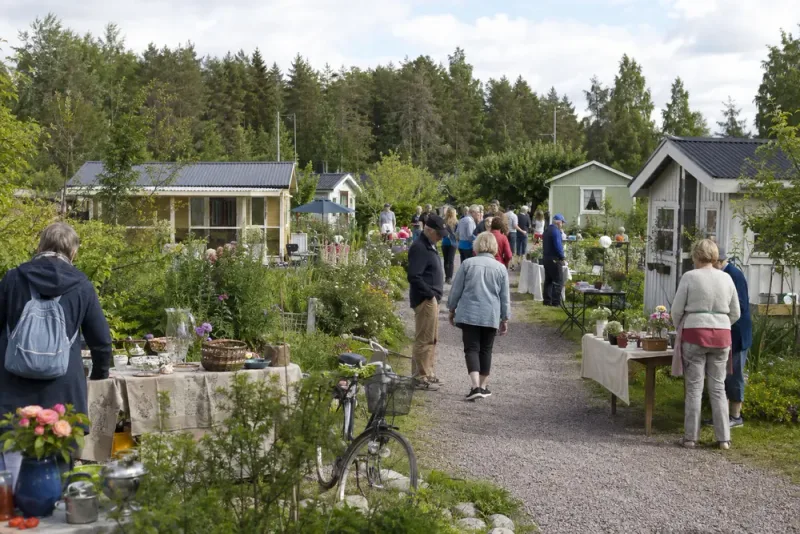 Kolonidagen lockade besökare till Hertsöns odlingsområde