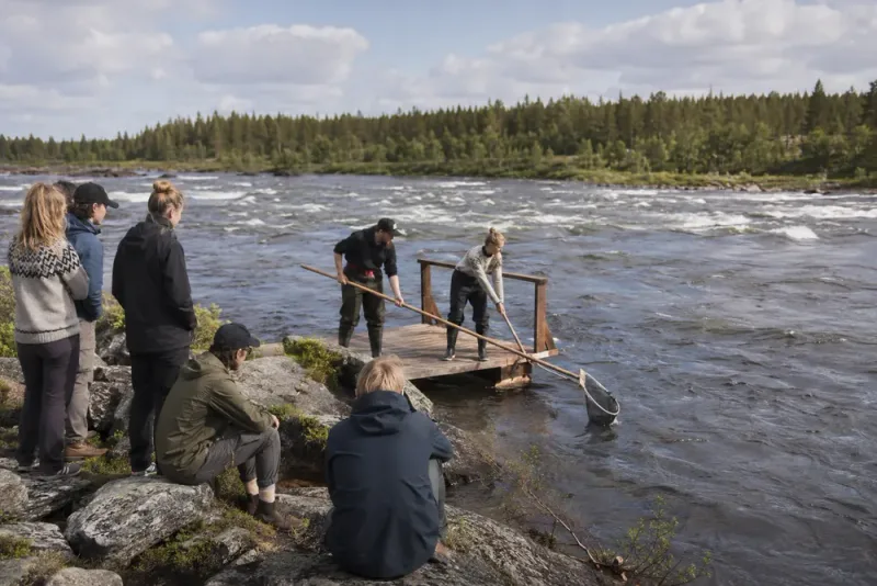 Unga återupptäckte språk och kultur längs Torne älv