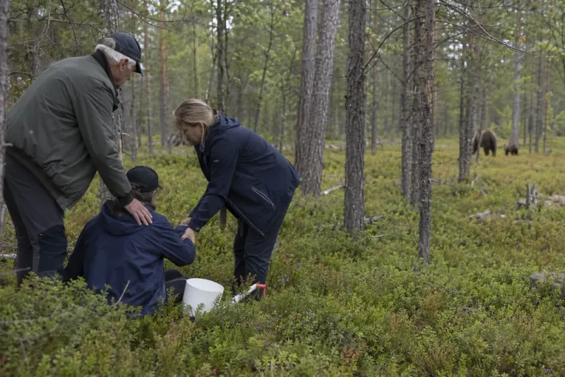 Bärplockare svårt skadad efter attack av björnhona