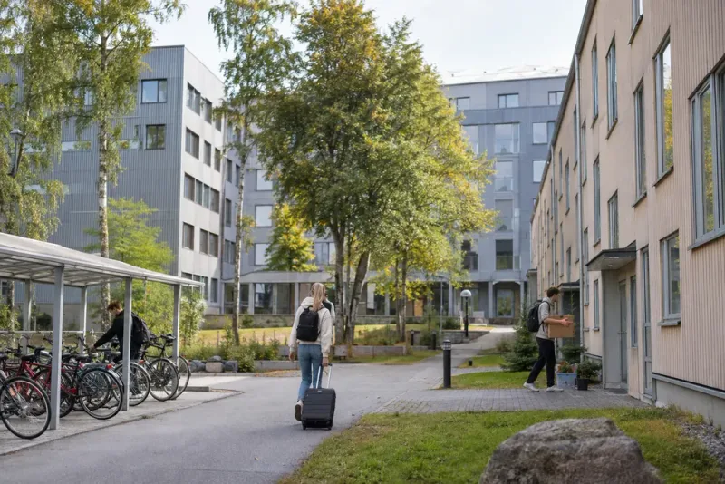 Kortare bostadskö när studenter söker boende i Umeå