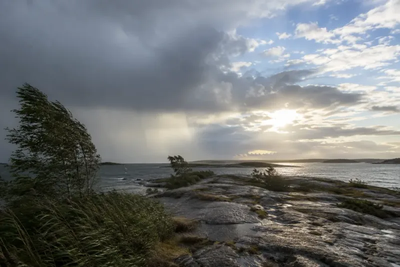 Regn och blåst följs av ny högsommarvärme