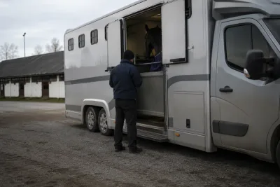 Svensk travtränare utreds efter filmklipp