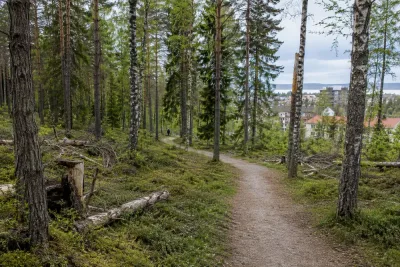 Östersund inför ny skötsel av tätortsnära skogar