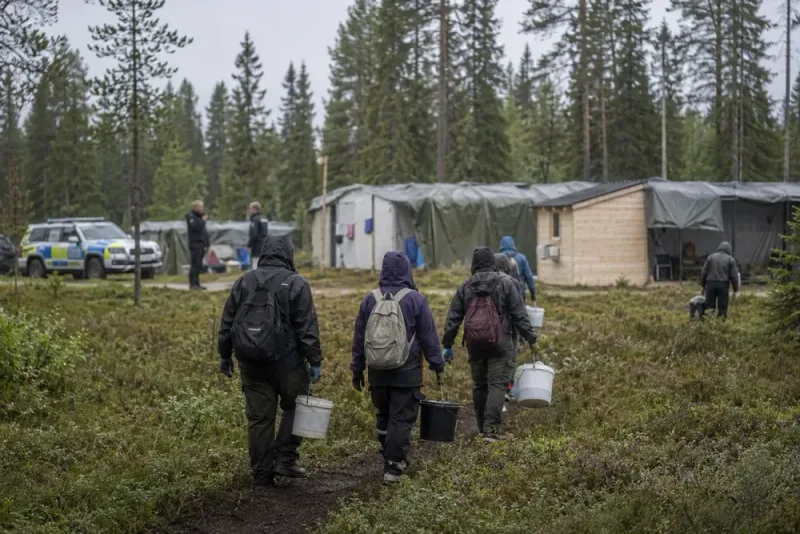 Nya misstankar om människohandel bland bärplockare