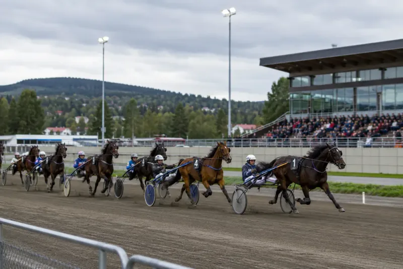 Östersund laddar för årets stora travdag