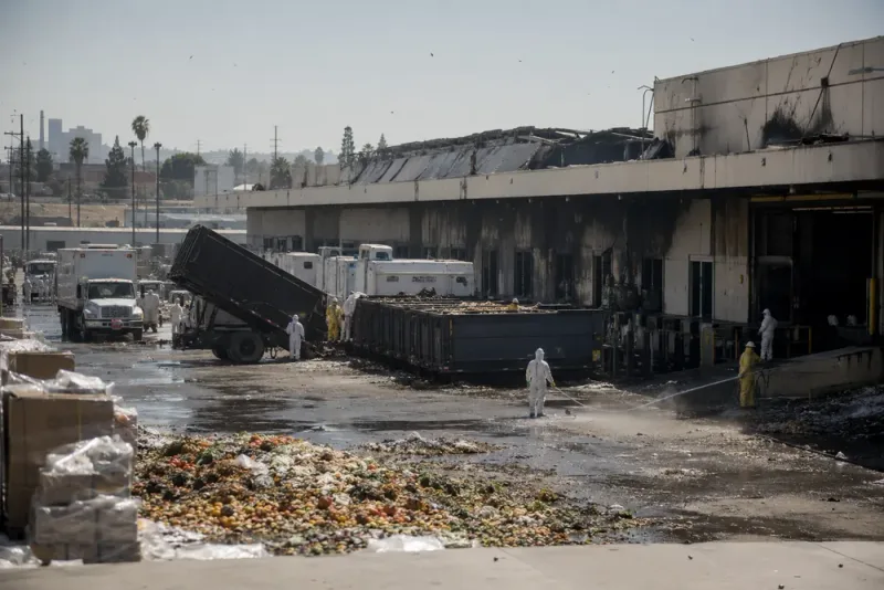 39 000 ton rutten mat plågar Los Angeles