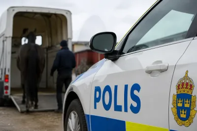 Travtränaren polisanmäld – slog hästen i huvudet