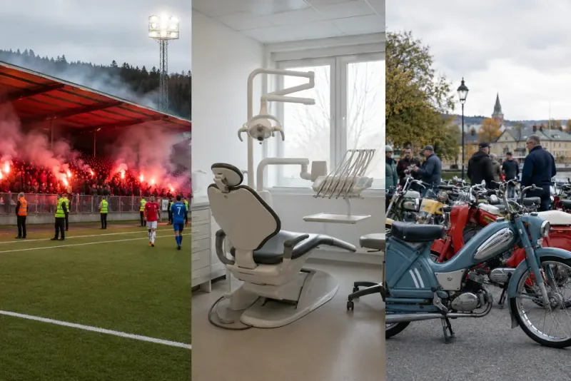 Bengaler, tandläkarbrist och veteranmopeder i Jämtland
