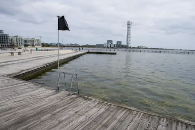 Malmö avråder åter från bad efter misstänkt algblomning