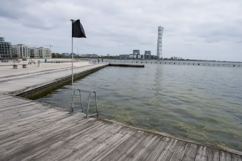 Malmö avråder åter från bad efter misstänkt algblomning