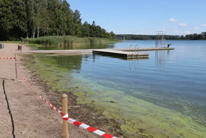 Norrköping avråder från bad på flera platser
