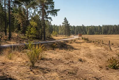 Extrem brandrisk när högsommarvärmen når södra Sverige