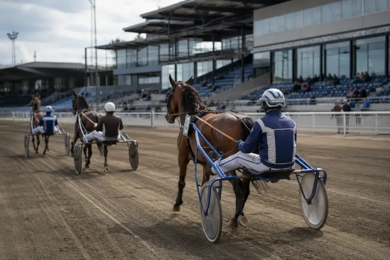 Magnus A Djuse pekar ut V85-chanserna