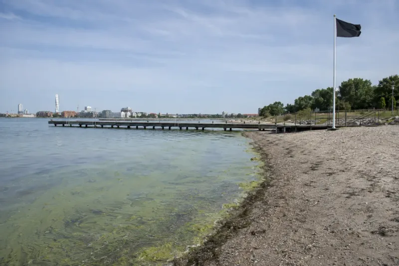 Malmö avråder från bad vid alla allmänna badplatser