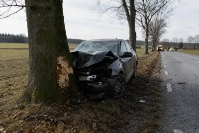 Man omkom när bil körde in i träd