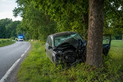Ung man omkom efter bilkrasch mot träd