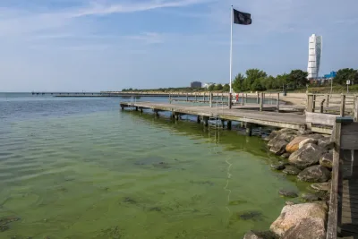 Algblomning stoppar havsbad vid Malmös stränder