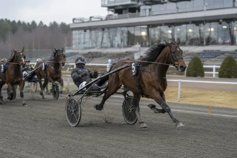 David Persson rasar efter Baron Tillys seger