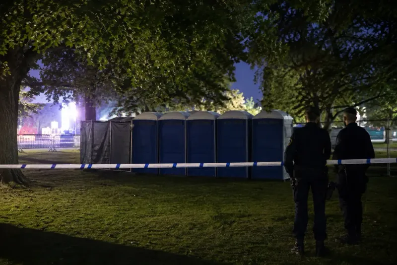Man anhållen efter misstänkt festivalvåldtäkt