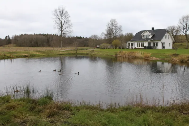 Paret byggde stor damm intill huset