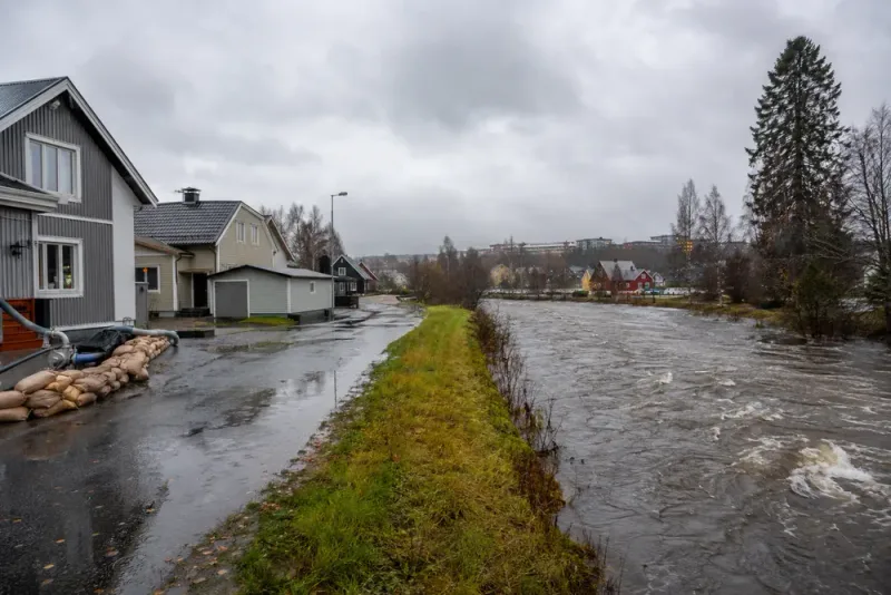 Gul varning efter kraftigt regn i Norrbotten