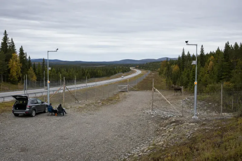 Ny viltpassage på E45 får oväntade besök