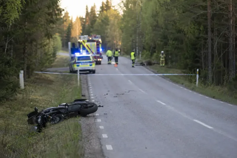 Motorcyklist avled efter älgolycka söder om Malmbäck