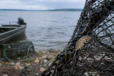 Invasiv rovmärla sprids i Vättern – fiskare varnas