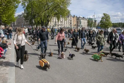 Över tusen taxar fyllde Stockholms parad