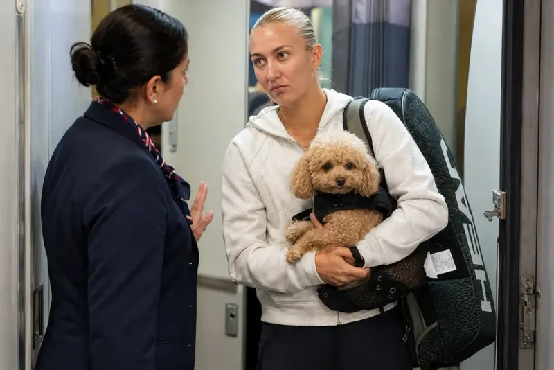 Anastasia Potapova kräver flygvärdinnans avsked