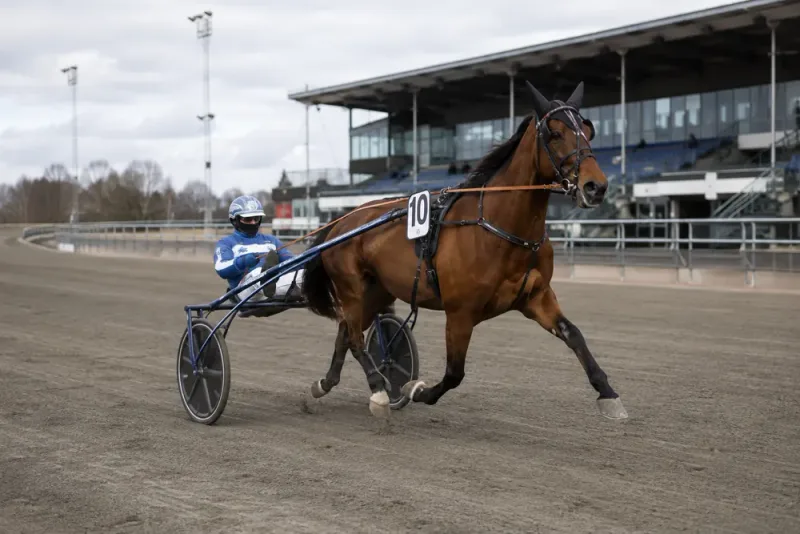 Anna Forssell tar över Slipstream Zon