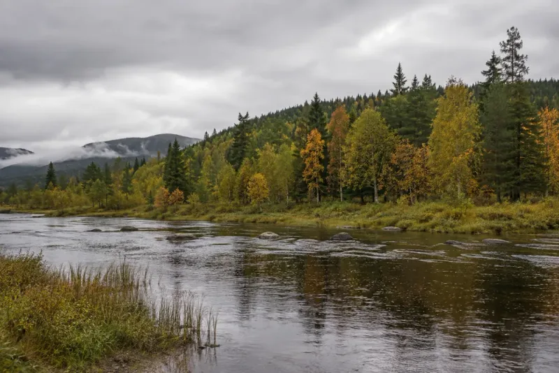 Hösten kan nå Dalarna tidigare än normalt